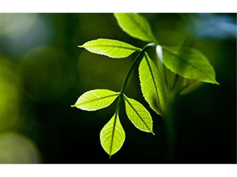 The ministry set up special funds support plan for the control of air pollution