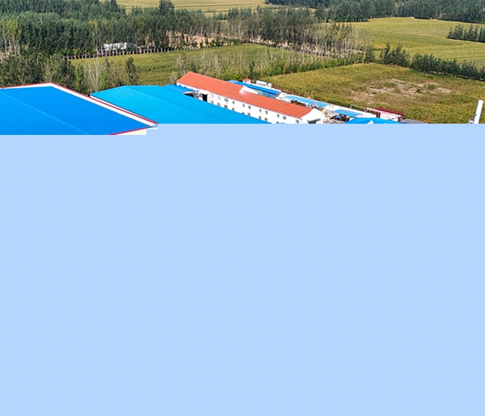 Panoramic view